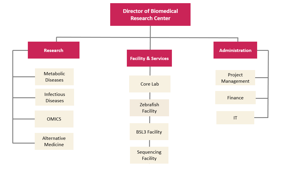 orgnization structure 