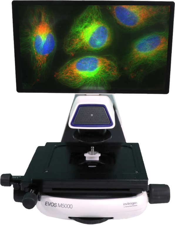 Fluorescence Digital Microscope