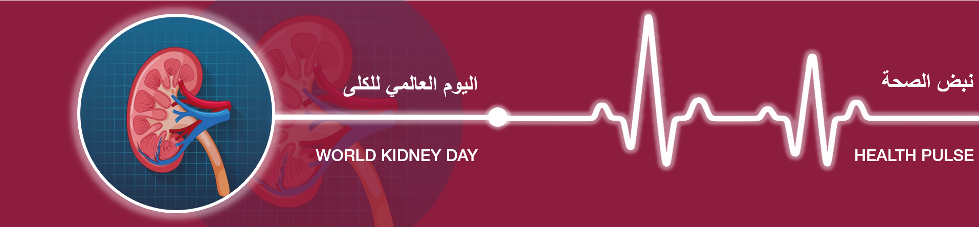 Kidney