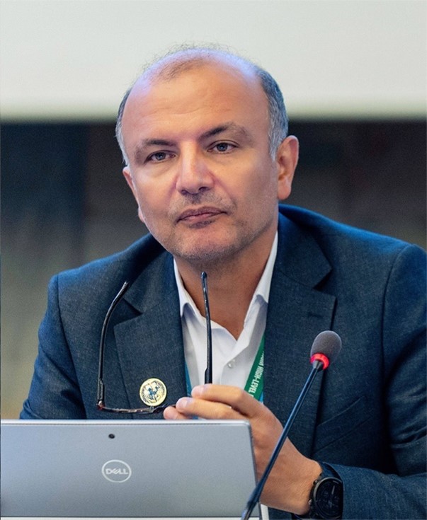 Professor Arash Rashidian (MD, PhD)